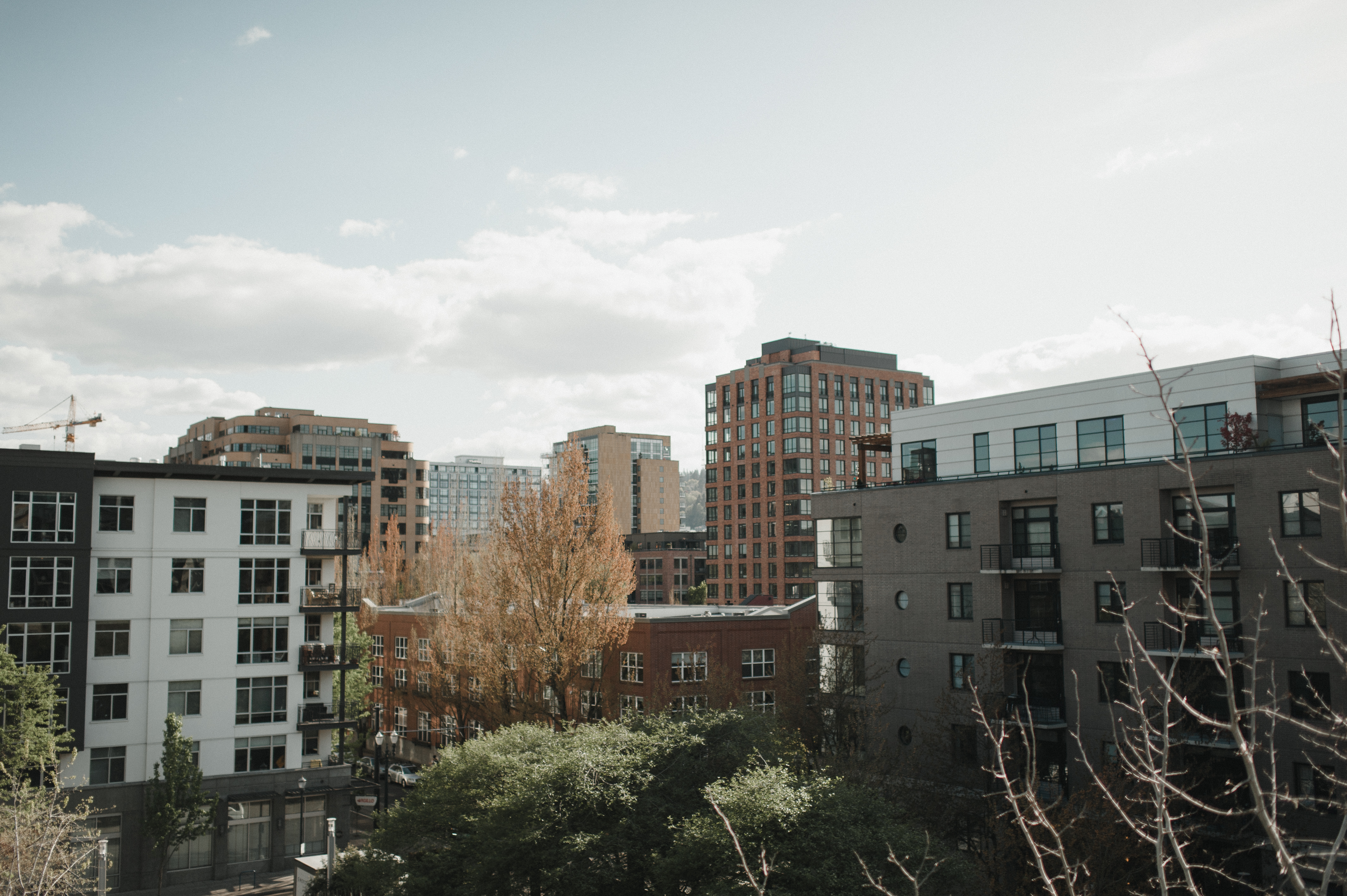 The Pearl District in Portland, Oregon. Photo by Carina Skrobecki Photography